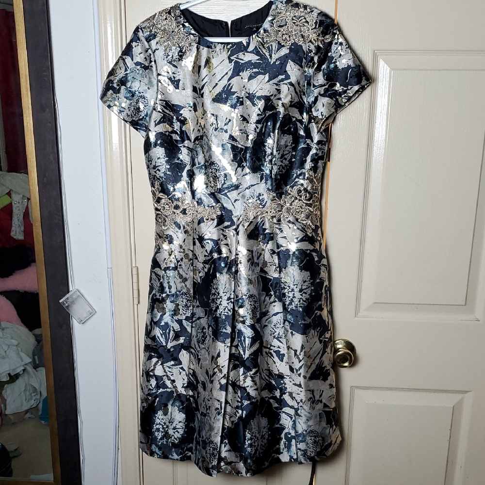 David Meister Size 10 Dress